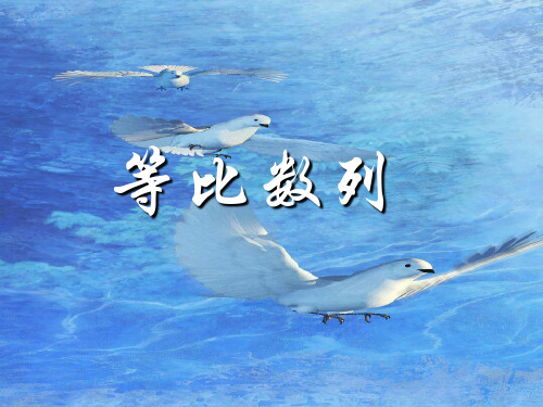 等比数列的定义PPT教学课件(1)