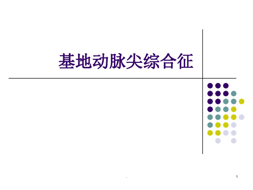 基底动脉尖PPT课件