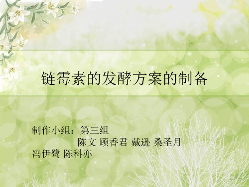 项目二 链霉素的发酵