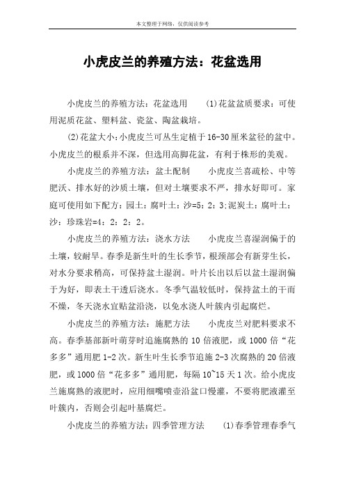 小虎皮兰的养殖方法：花盆选用