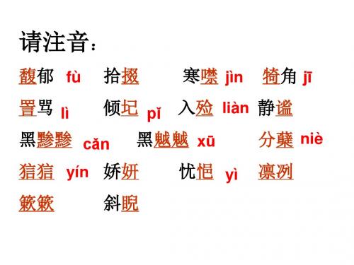 【高中语文】安东诺夫卡苹果ppt10