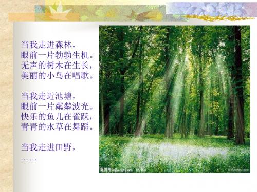 1、寻找有生命的物体