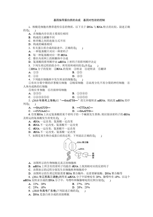 基因指导蛋白质的合成 基因对性状的控制