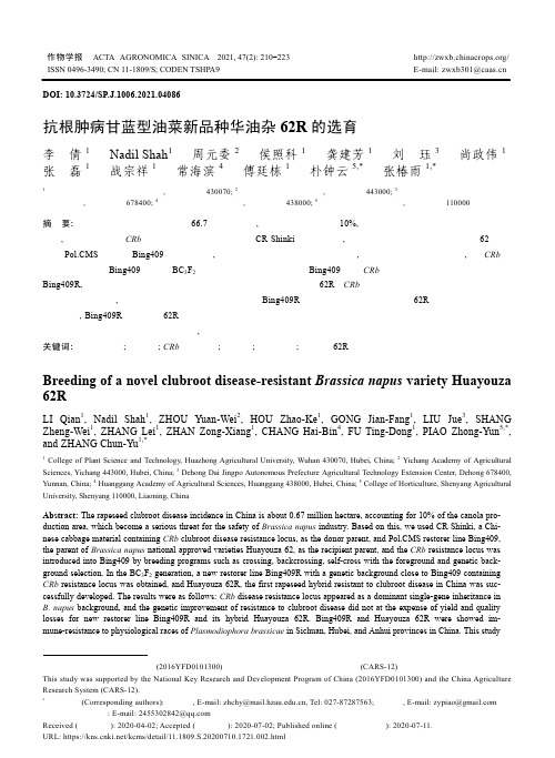 抗根肿病甘蓝型油菜新品种华油杂62R的选育