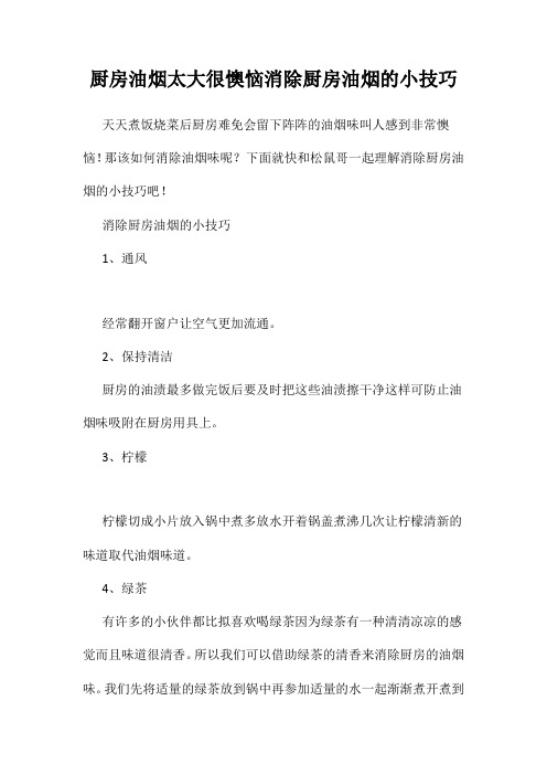 厨房油烟太大很懊恼消除厨房油烟的小技巧