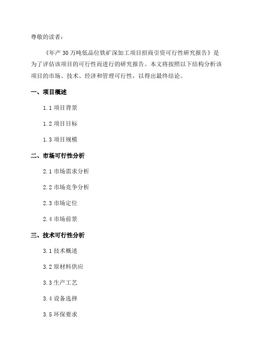 年产30万吨低品位铁矿深加工项目招商引资可行性研究报告怎么写