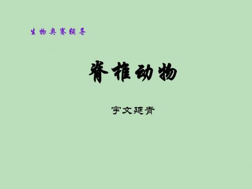 总结_脊椎动物比较解剖学