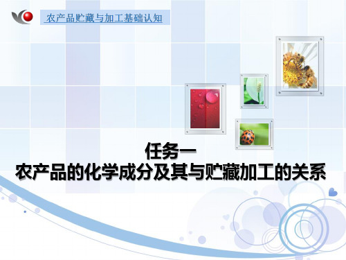 1.1农产品中的主要化学成分及其变化