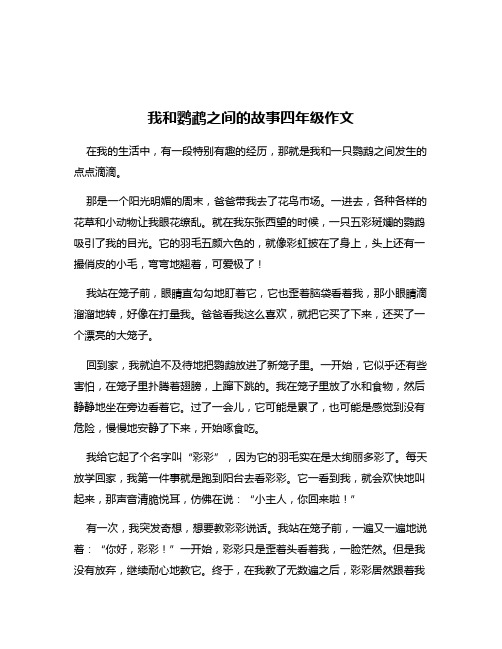 我和鹦鹉之间的故事四年级作文