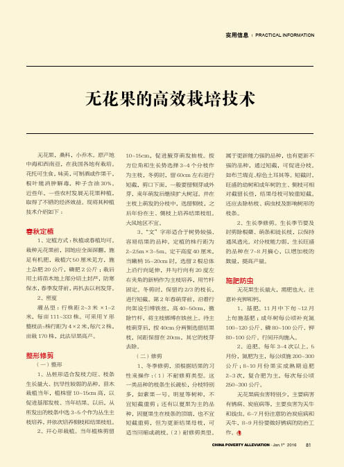 无花果的高效栽培技术
