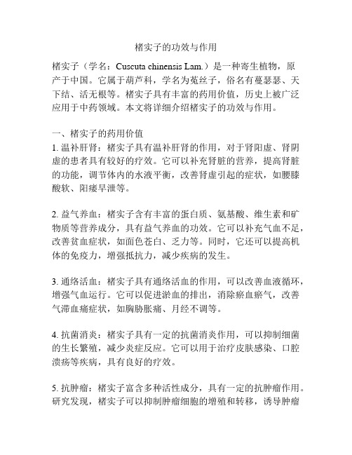 楮实子的功效与作用