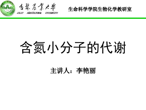 含氮小分子的代谢