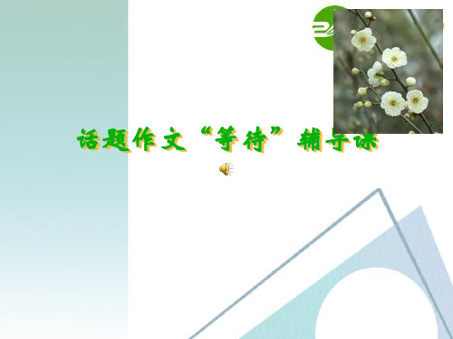 高中语文作文辅导 话题作文“等待”辅导课课件 新人教版