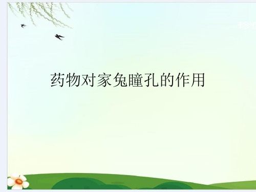 药物对家兔瞳孔的作用