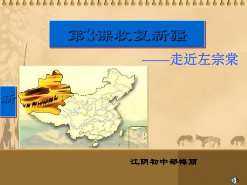 收复新疆PPT课件7