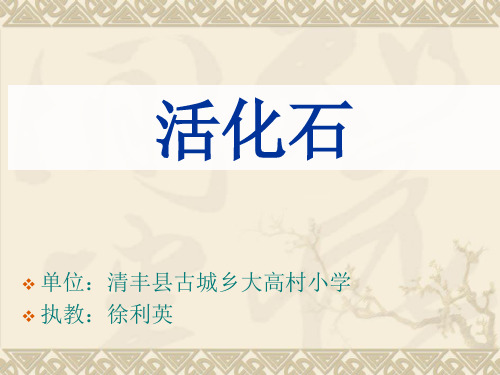 二年级语文上《识字833 活化石》150PPT课件 一等奖名师公开课比赛优质课评比试讲