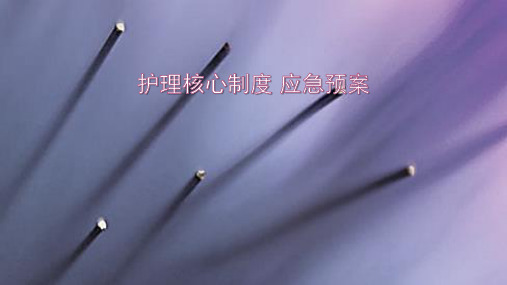 护理核心制度 应急预案17页PPT