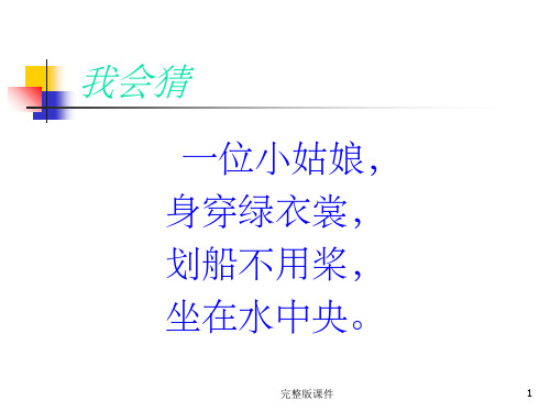 一年级下册 《荷叶圆圆》 随文识字 公开课ppt课件