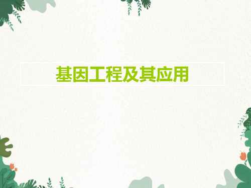 人教版高中生物必修二7：6