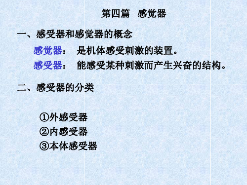 视器解剖