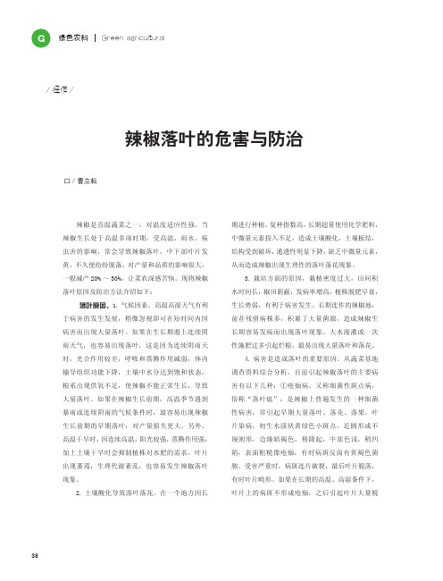 辣椒落叶的危害与防治