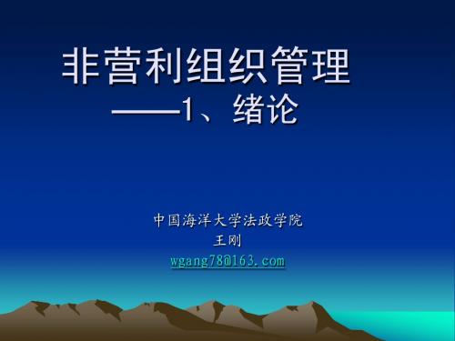 非营利组织管理1