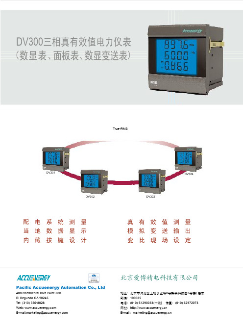 DV300 三相多功能数字仪表