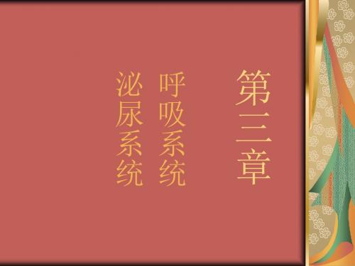 《呼吸、泌尿》ppt课件-PPT课件-精选文档