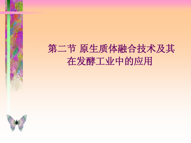 第二章  工业菌种选育--原生质体融合技术(2)