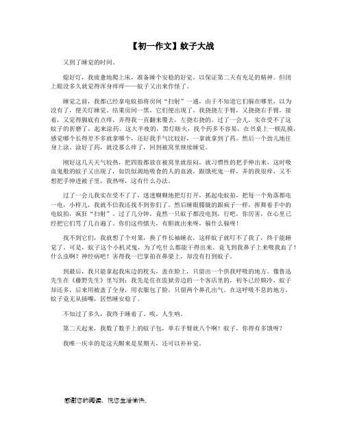 【初一作文】蚊子大战