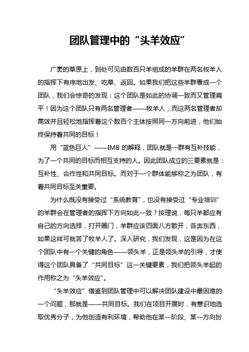 团队管理中的“头羊效应”