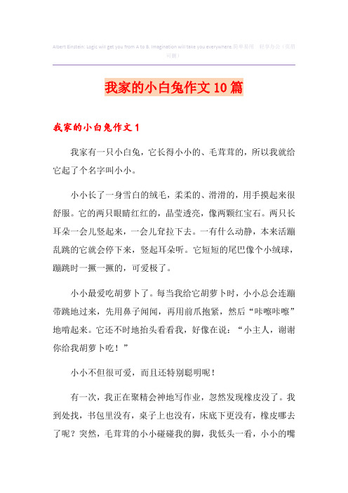 我家的小白兔作文10篇