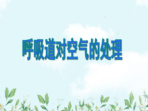 七年级生物下册4.3.1呼吸道对空气的处理课件2新人教版
