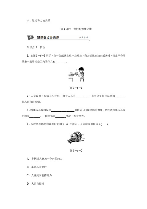 六、运动和力的关系第1课时惯性和惯性定律