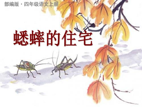 最新部编版(统编版)四年级语文上册第11课蟋蟀的住宅公开课课件 ppt
