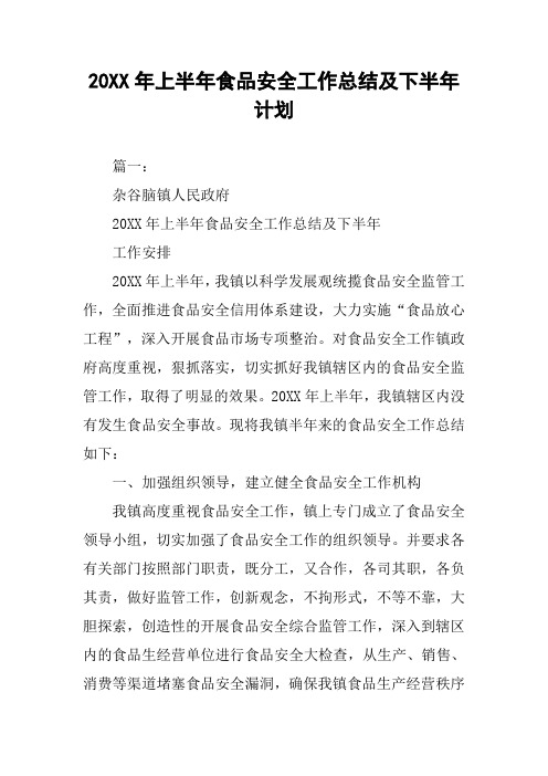 20XX年上半年食品安全工作总结及下半年计划