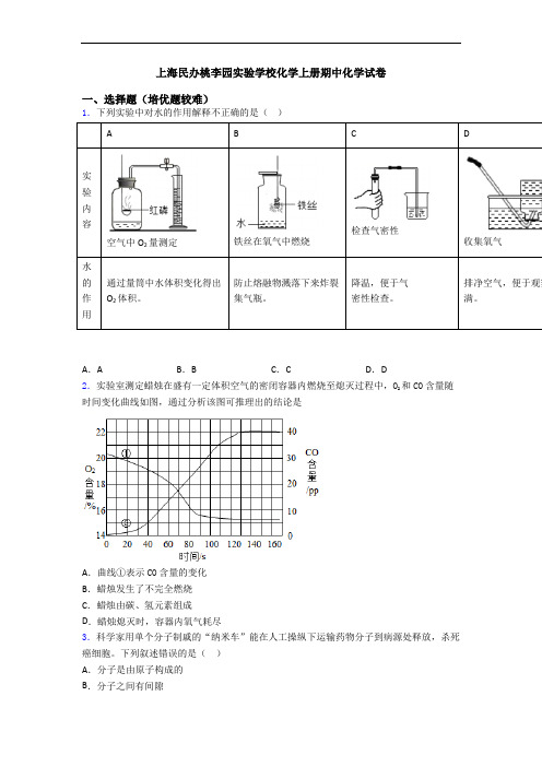 上海民办桃李园实验学校初三化学上册期中初三化学试卷