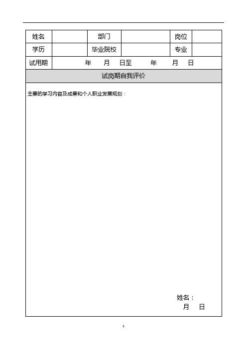 试岗期评估表