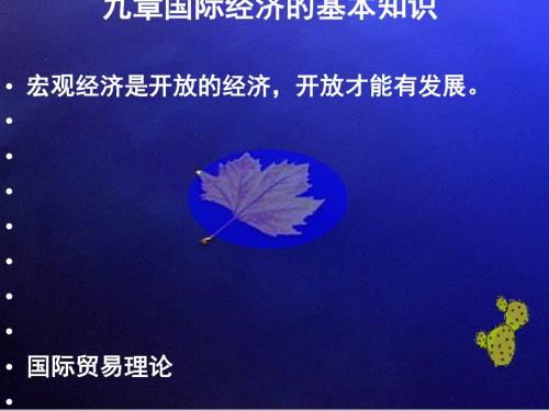 国际经济的基本知识(ppt16张)