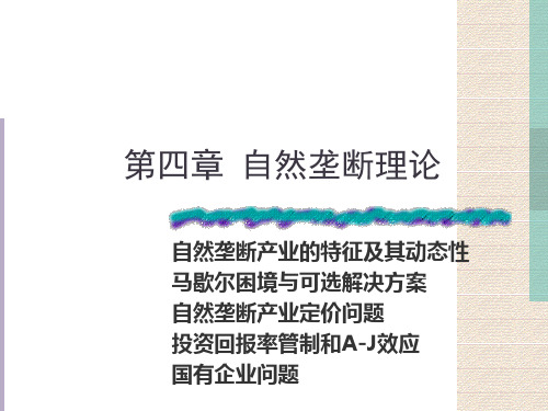 第四章 自然垄断理论-PPT课件