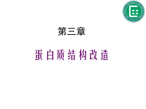 理学蛋白质分子设计