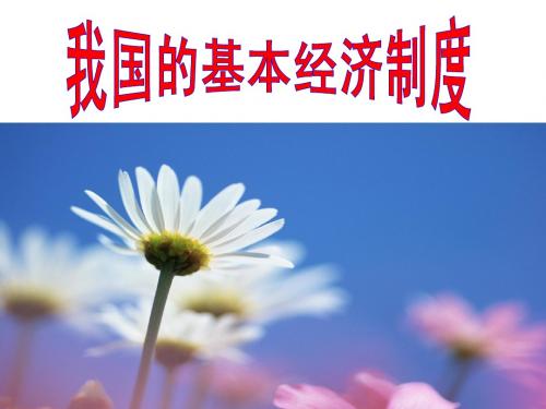 我国的基本经济制度2013