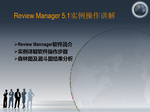 Review_Manager_5实例分析