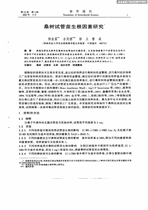 桑树试管苗生根因素研究