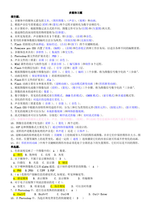 多媒体