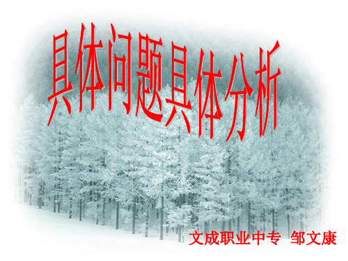 具体问题具体分析(课件)