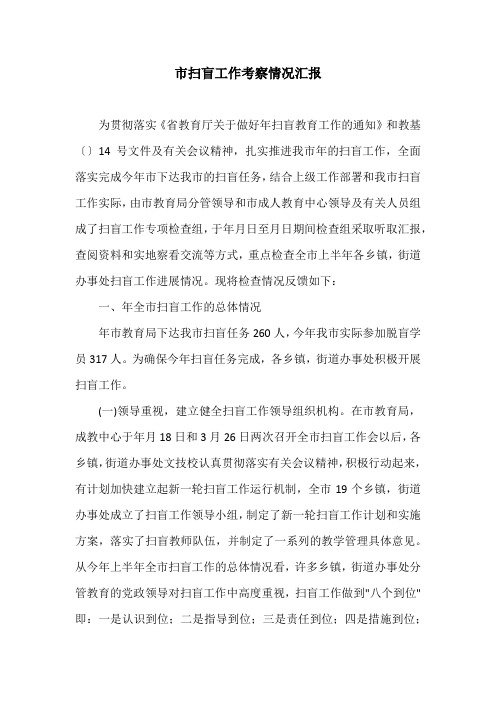 市扫盲工作考察情况汇报
