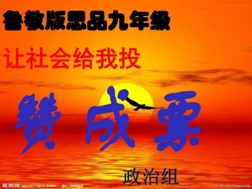 鲁教版思品九年级《让社会给我投赞成票》