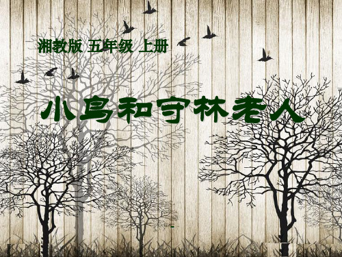 202X春湘教版语文五上《小鸟和守林老人》ppt课件