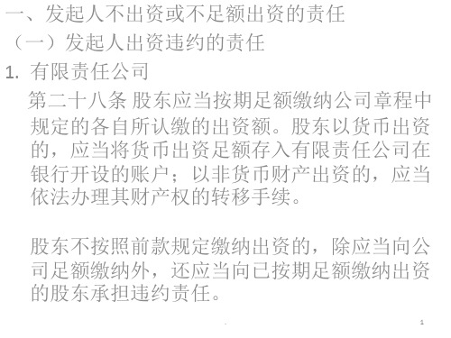 股东出资责任PPT课件